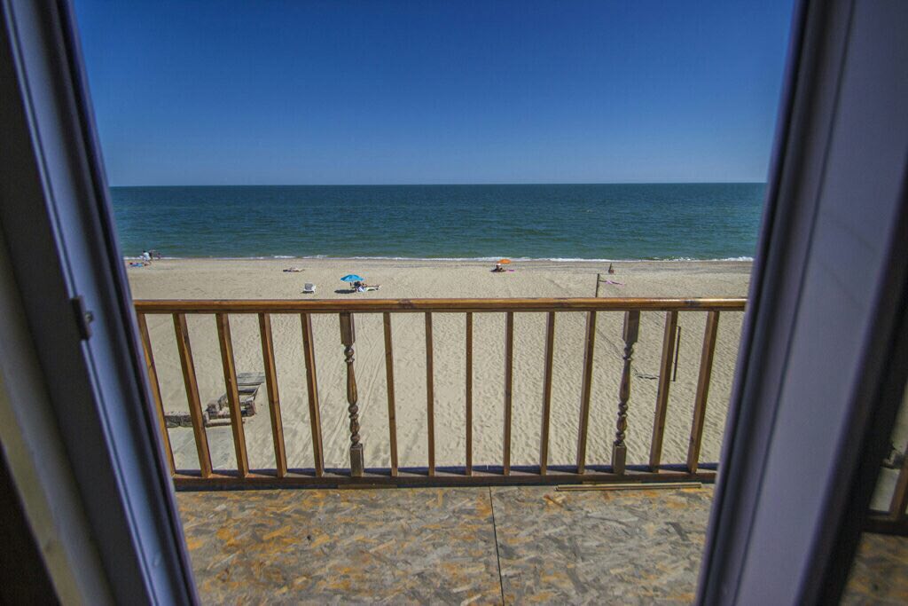 Image 0 02 05 84584b59dfa20858f6d3e44b5f75f81dab1003f0a1b8afb221d942a61908059d V